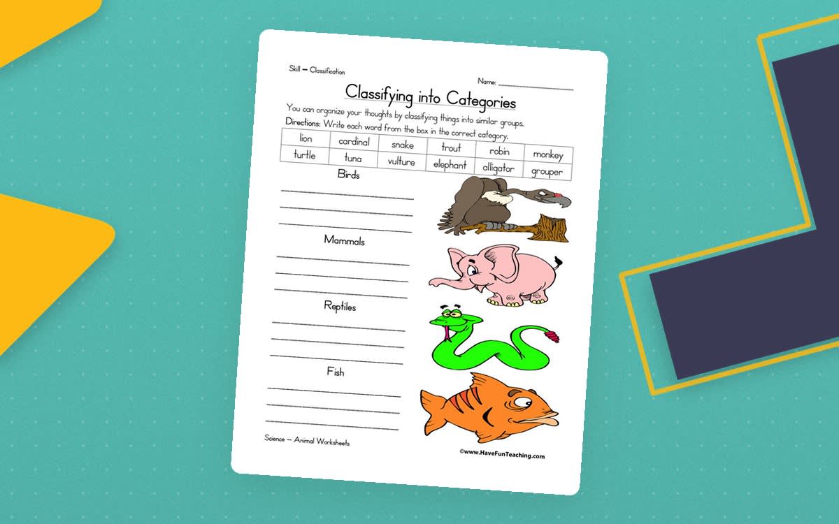 An educational teaching resource from Have Fun Teaching entitled Animal Classification Worksheet downloadable at Teach Simple.