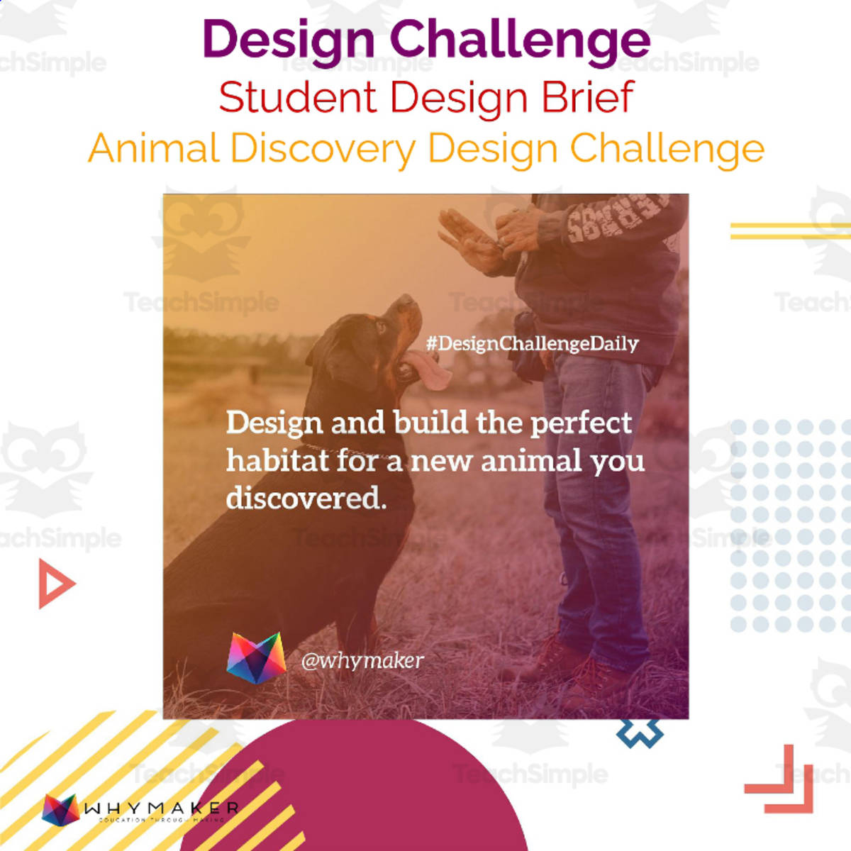 An educational teaching resource from WhyMaker entitled Animal Discover Design Challenge downloadable at Teach Simple.