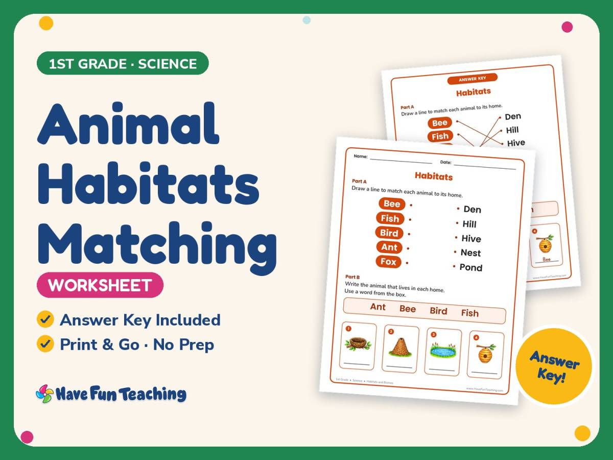 Animal Habitats Matching Worksheet – 1st Grade Animals & Environments preview
