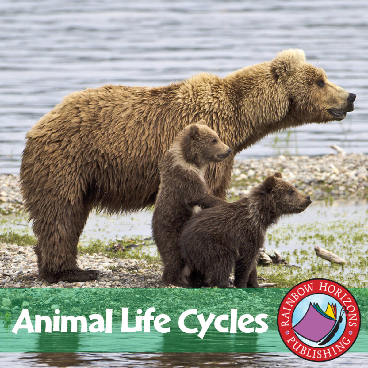 An educational teaching resource from Classroom Complete Press entitled Animal Life Cycles Gr. 2-3 downloadable at Teach Simple.
