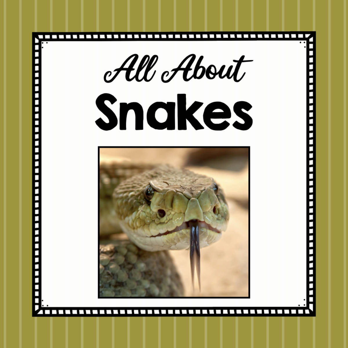 An educational teaching resource from Simply Schoolgirl entitled Animal Science: All About Snakes downloadable at Teach Simple.