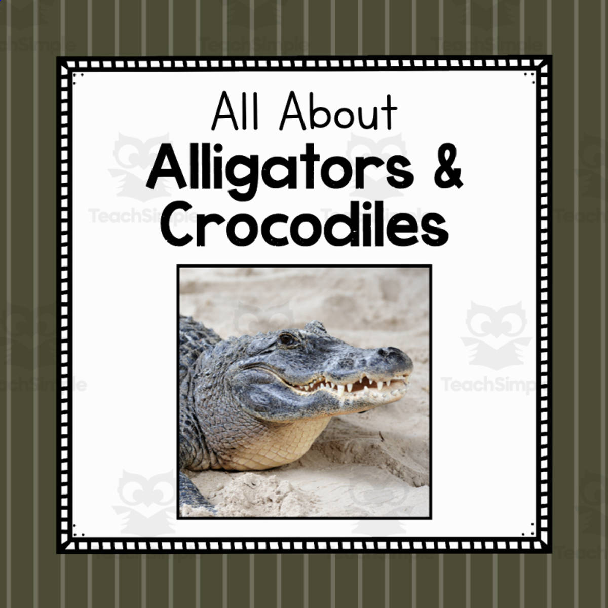 An educational teaching resource from Simply Schoolgirl entitled Animal Science Unit | All About Alligators and Crocodiles downloadable at Teach Simple.