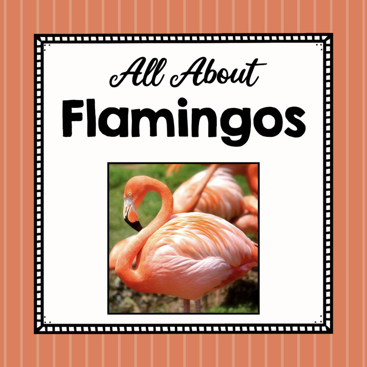 An educational teaching resource from Simply Schoolgirl entitled Animal Science Unit | All About Flamingos | Learning about Animals downloadable at Teach Simple.