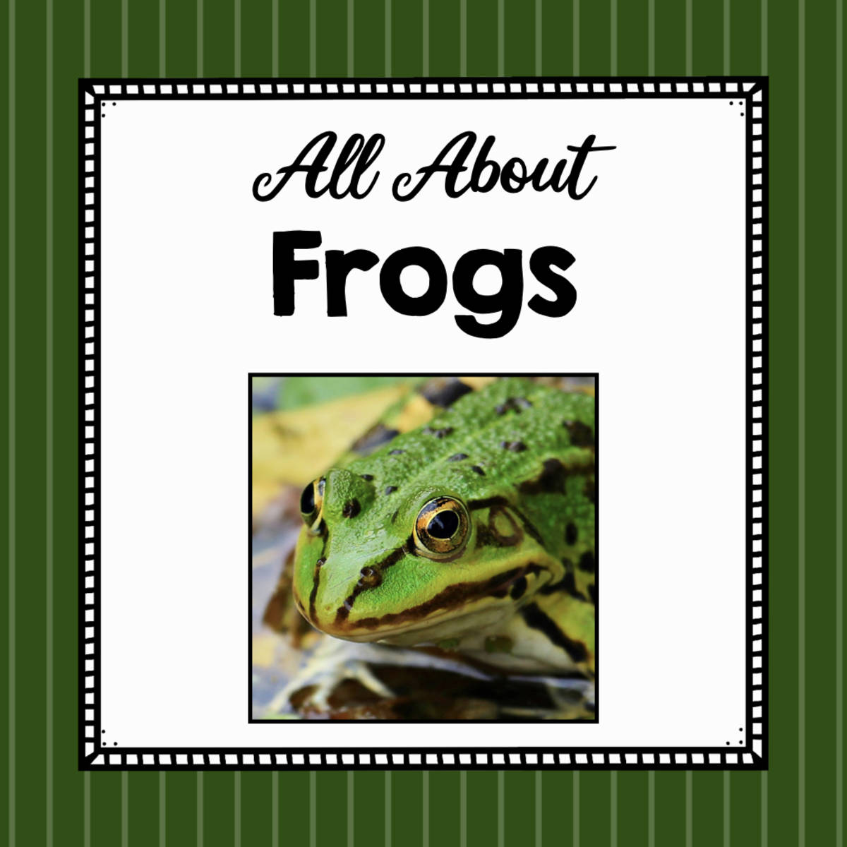 An educational teaching resource from Simply Schoolgirl entitled Animal Science Unit | All About Frogs | Learning about Animals | Frog downloadable at Teach Simple.