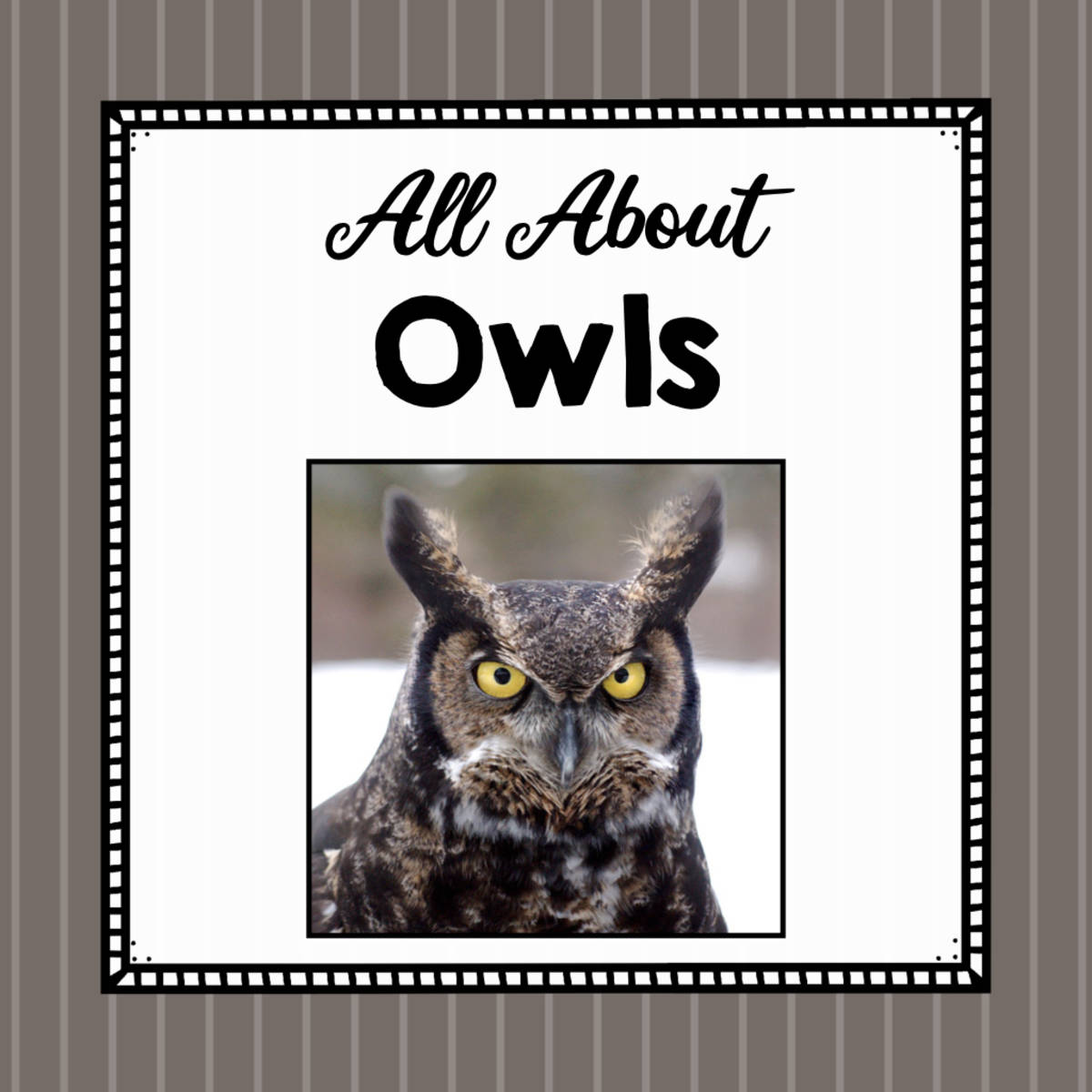 An educational teaching resource from Simply Schoolgirl entitled Animal Science Unit | All About Owls | Learning about Animals downloadable at Teach Simple.