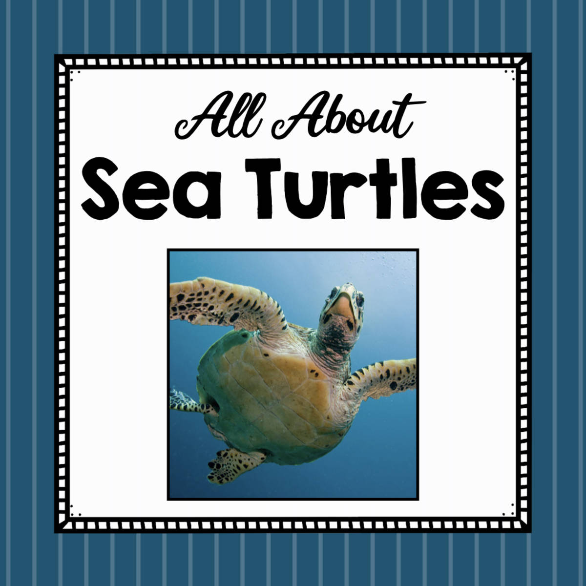An educational teaching resource from Simply Schoolgirl entitled Animal Science Unit | All About Sea Turtles | Learning about Animals downloadable at Teach Simple.