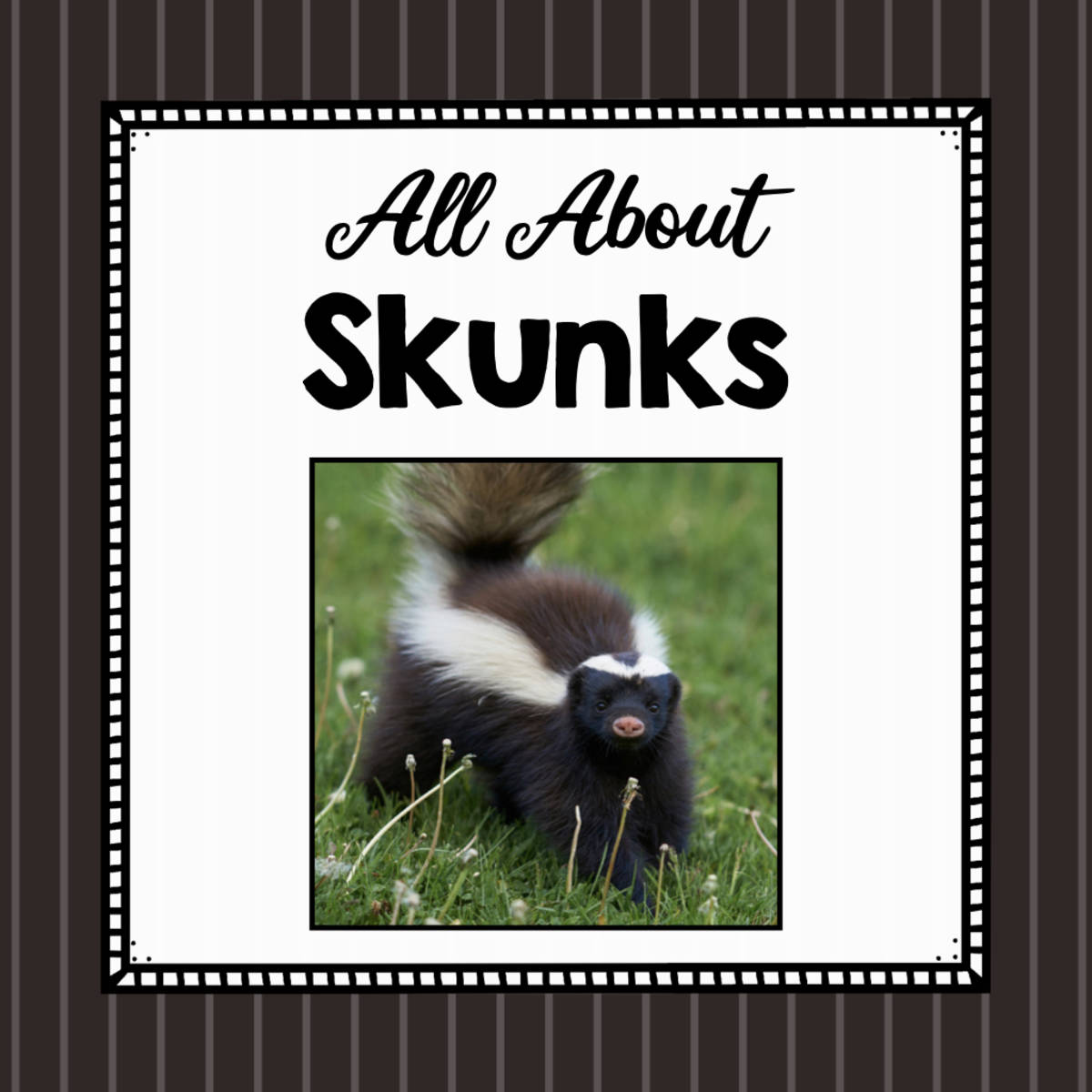 An educational teaching resource from Simply Schoolgirl entitled Animal Science Unit | All About Skunks | Learning about Animals downloadable at Teach Simple.