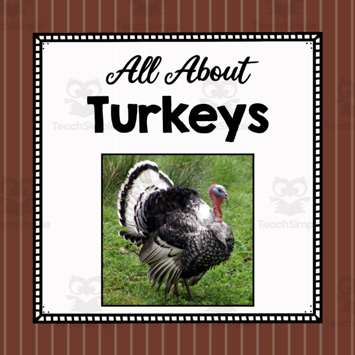 An educational teaching resource from Simply Schoolgirl entitled Animal Science Unit | All About Turkeys | Learning about Animals | Turkey downloadable at Teach Simple.