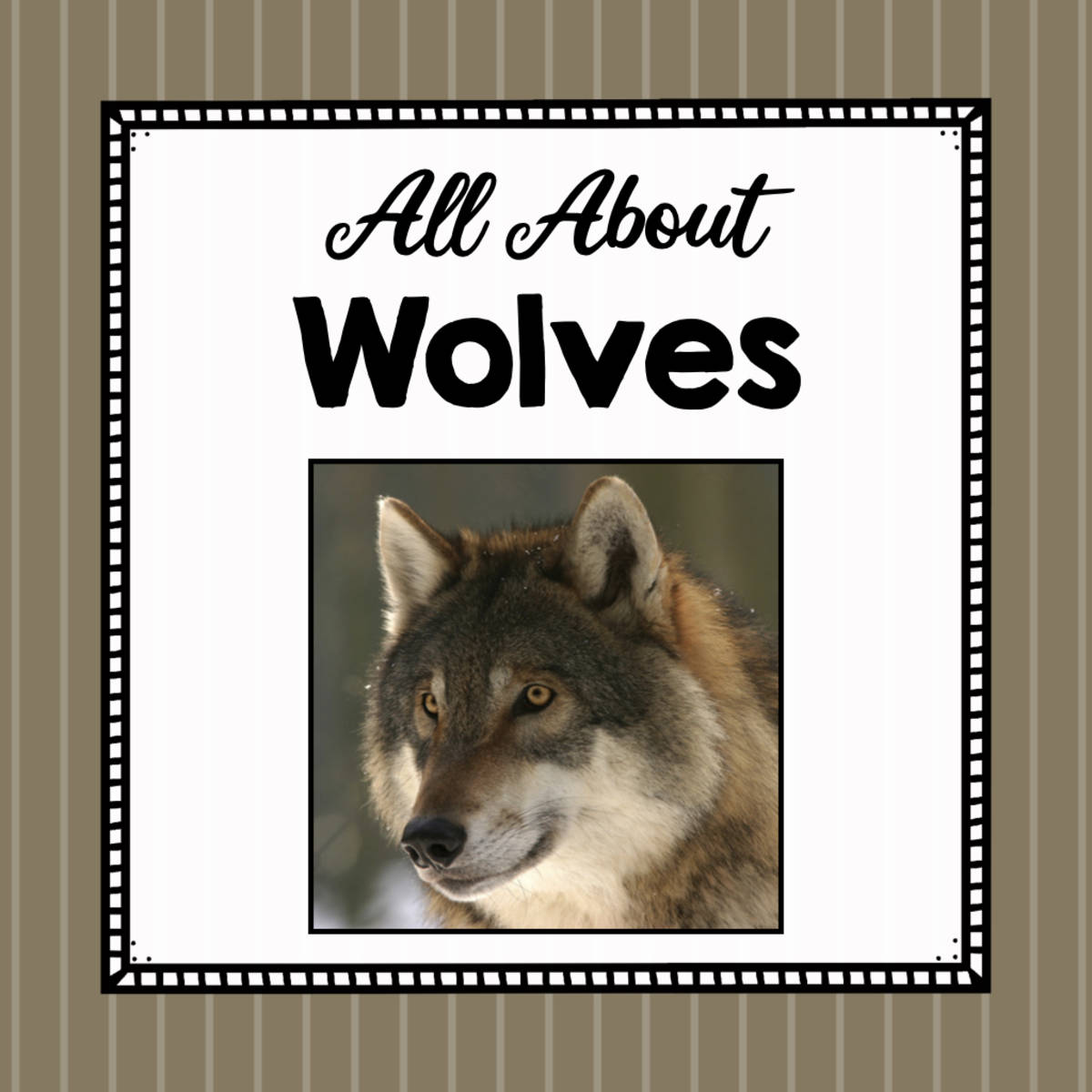 An educational teaching resource from Simply Schoolgirl entitled Animal Science Unit | All About Wolves | Learning about Animals | Wolf downloadable at Teach Simple.