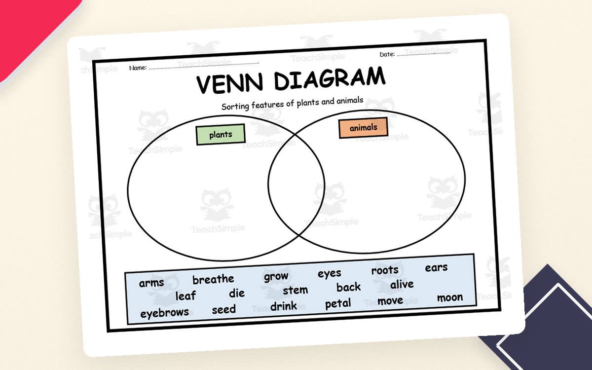 An educational teaching resource from Elementary Resources 4 U entitled Animals and Plants Characteristics Venn Diagram downloadable at Teach Simple.