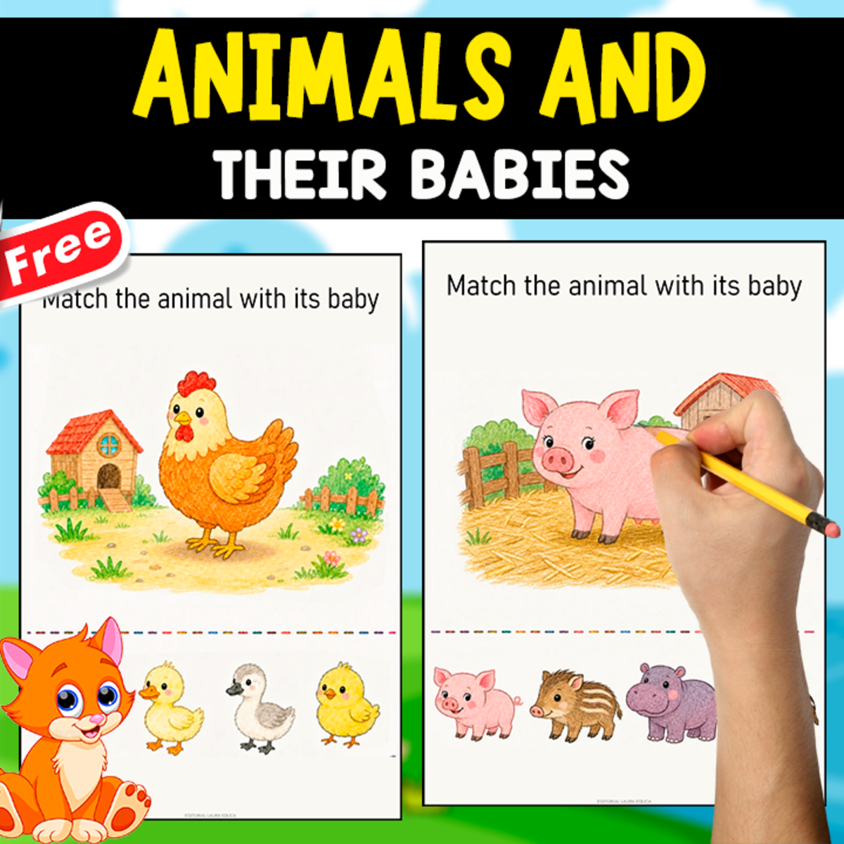 An educational teaching resource from EDITORIAL LAURA EDUCA entitled ANIMALS AND THEIR BABIES | WORKSHEET downloadable at Teach Simple.