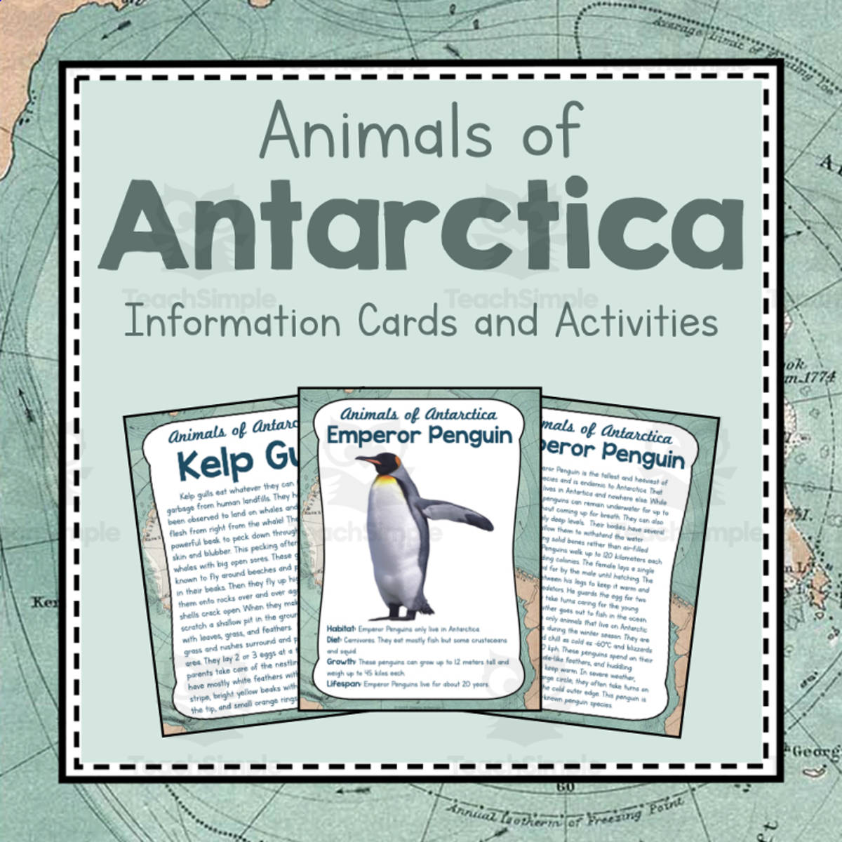 An educational teaching resource from Simply Schoolgirl entitled Animals of Antartica |  Antartica Unit Study | Geography Bundles downloadable at Teach Simple.