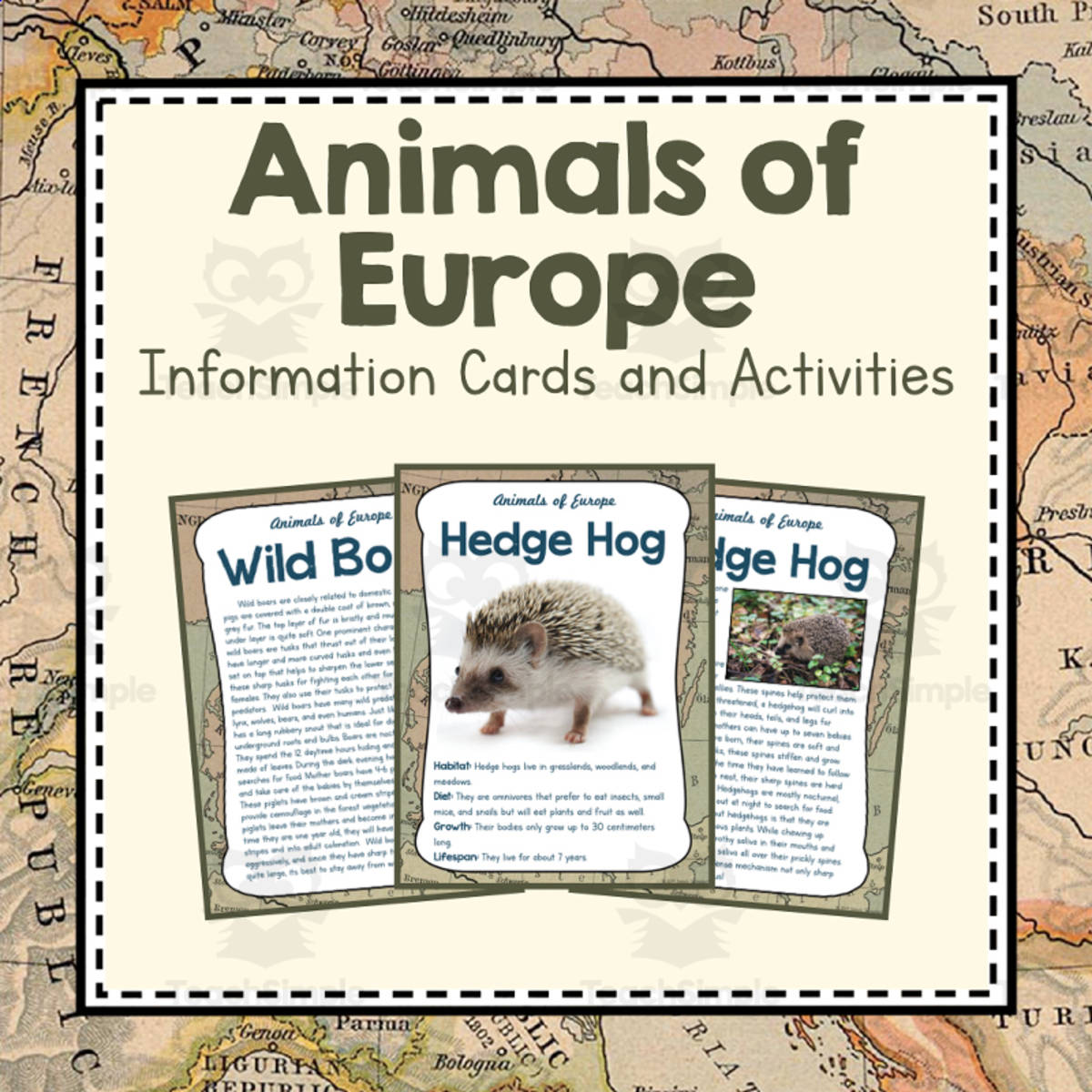 An educational teaching resource from Simply Schoolgirl entitled Animals of Europe |  Europe Unit Study | Geography Bundle downloadable at Teach Simple.