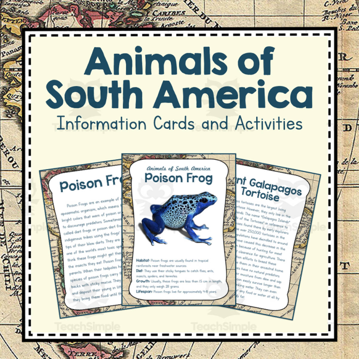An educational teaching resource from Simply Schoolgirl entitled Animals of South America | South America Unit | Geography Bundle downloadable at Teach Simple.