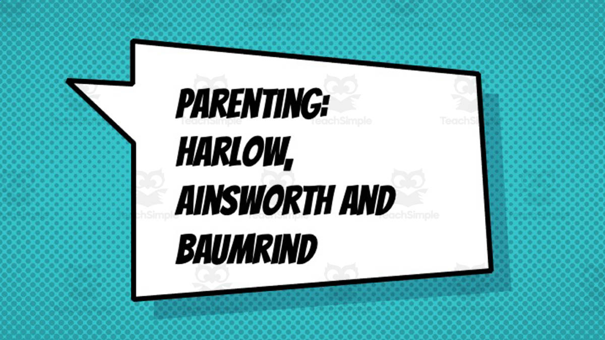 An educational teaching resource from Skinner's Box entitled AP Psychology: Parenting Lecture Slides downloadable at Teach Simple.