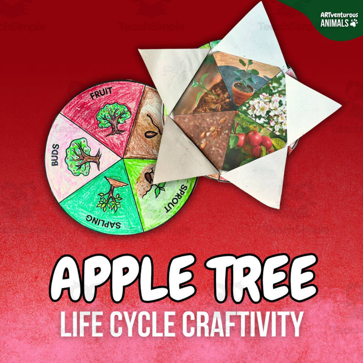 An educational teaching resource from ARTventurousanimals entitled Apple Tree Life Cycle Hands-on Craft Activity for 2nd, 3rd, 4th, 5th downloadable at Teach Simple.