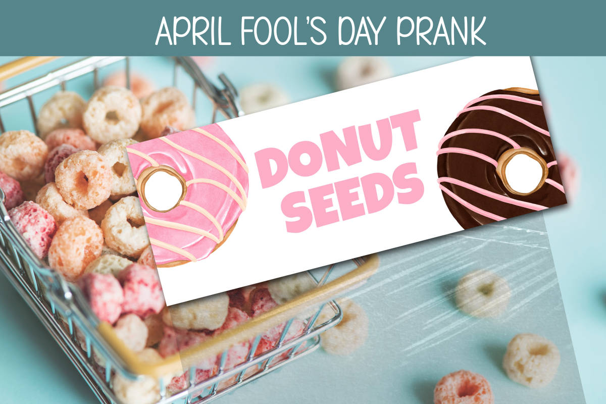 An educational teaching resource from Forever June Digital Design entitled APRIL FOOL'S DAY PRANK DONUT SEEDS TREAT TOPPERS, GOODY BAG TAGS downloadable at Teach Simple.