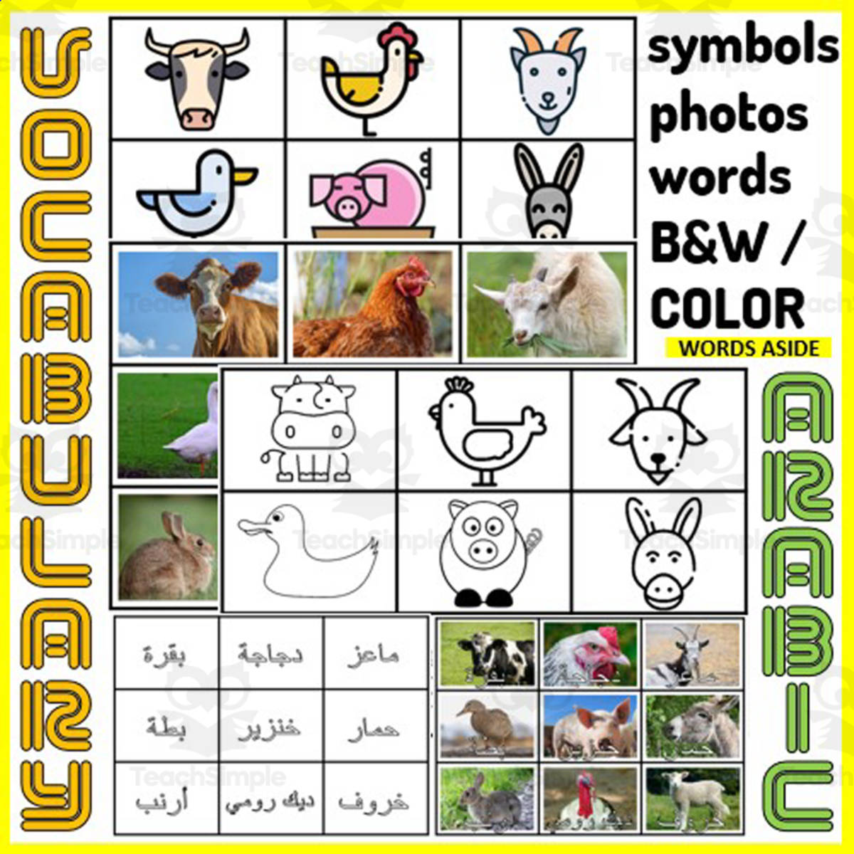 An educational teaching resource from WORDS ASIDE entitled Arabic Vocabulary Match to Sample Memory Boards FARM ANIMALS downloadable at Teach Simple.