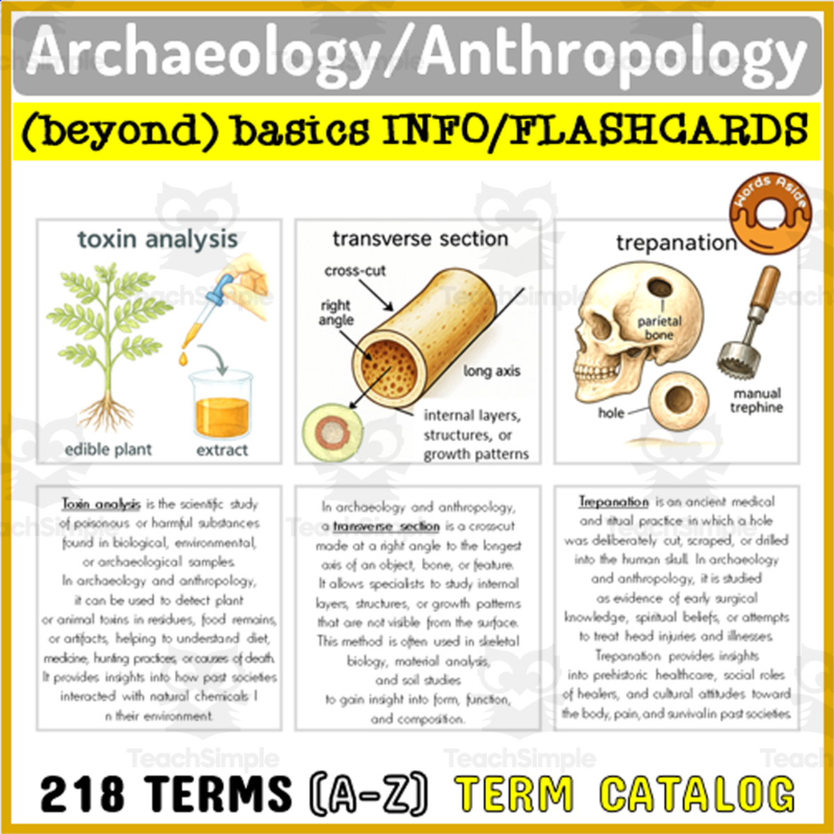 An educational teaching resource from WORDS ASIDE entitled Archaeology Anthropology Terms Info Text Flashcards Catalog downloadable at Teach Simple.