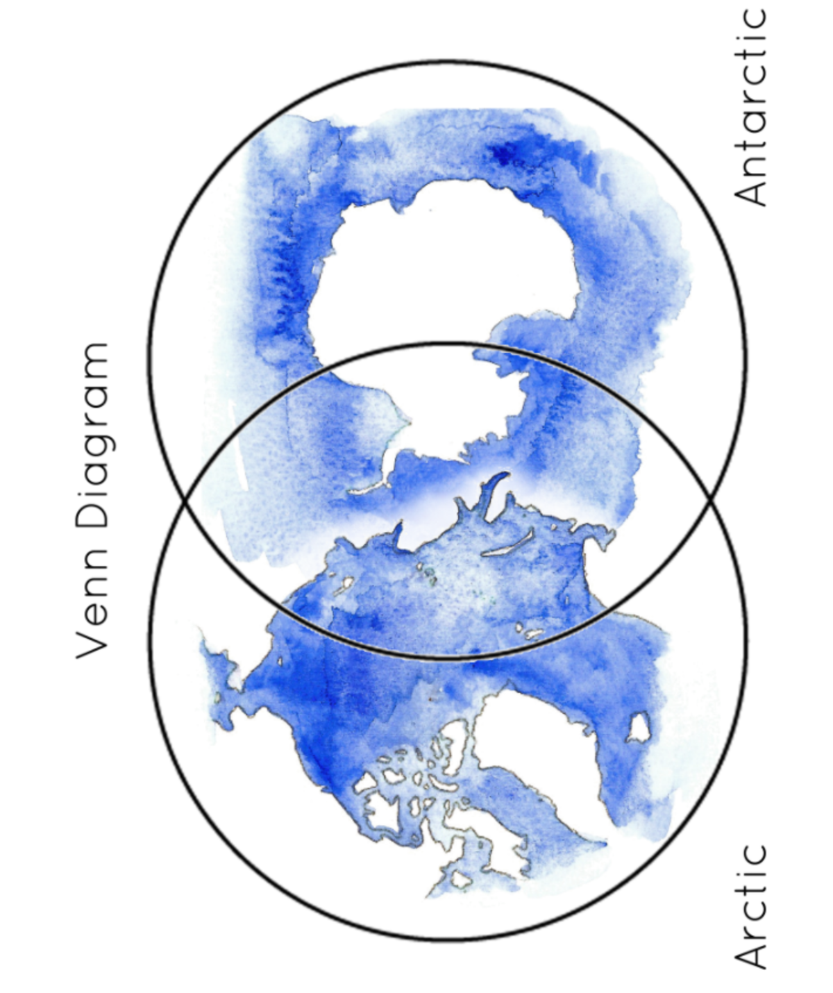 An educational teaching resource from Fiddleticks Education entitled Arctic vs Antarctic Wildlife – Sorting Activity downloadable at Teach Simple.