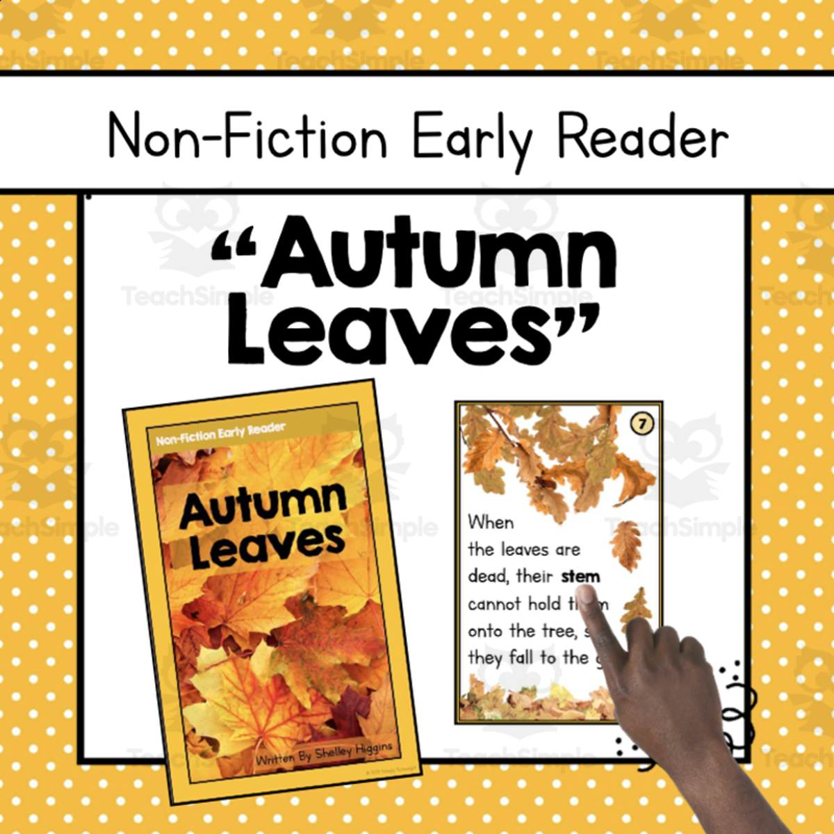 An educational teaching resource from Simply Schoolgirl entitled "Autumn Leaves" | Differentiated Fall Nonfiction Book downloadable at Teach Simple.