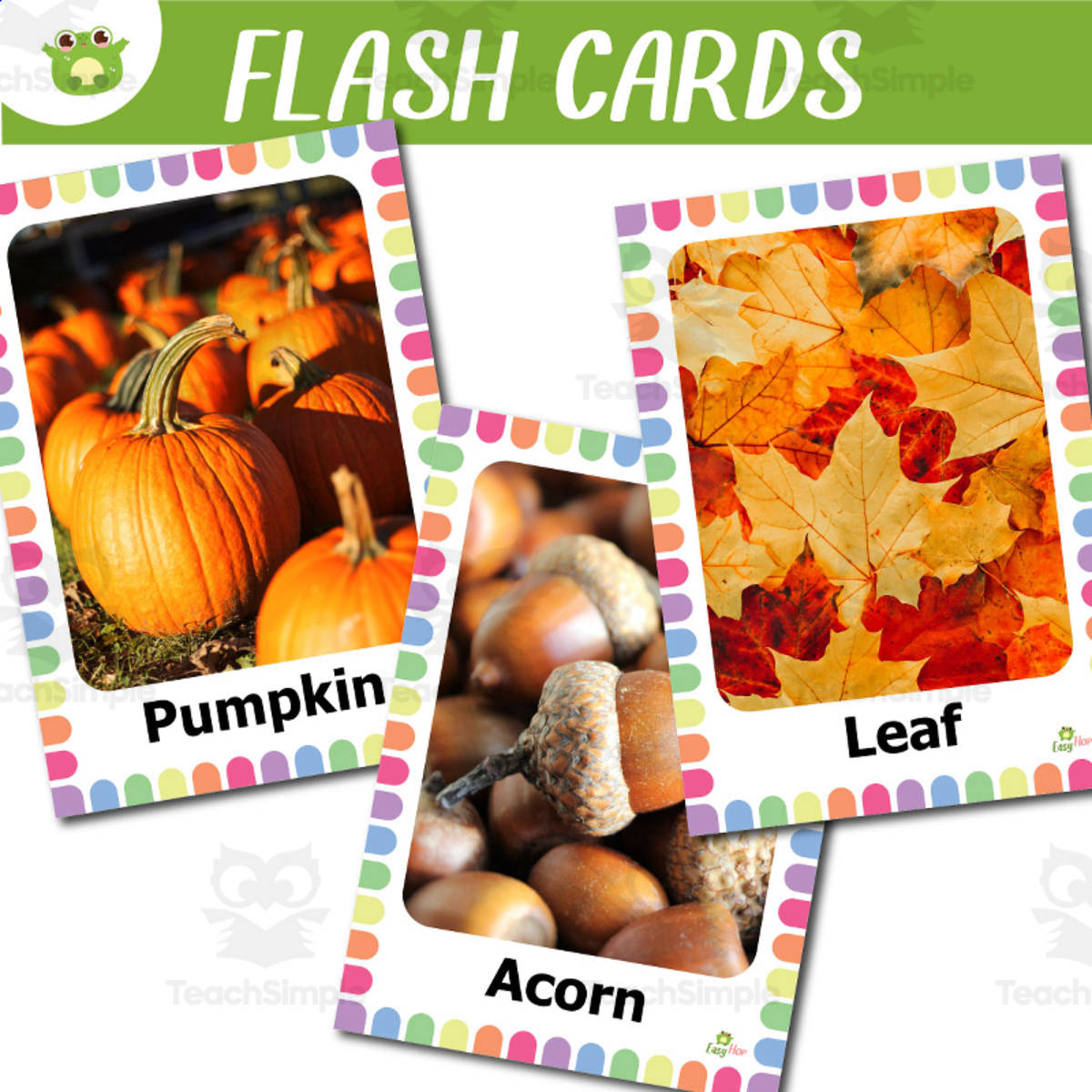 An educational teaching resource from EasyHop entitled Autumn Vocabulary Flashcards with Real Photos for Preschool and Early downloadable at Teach Simple.