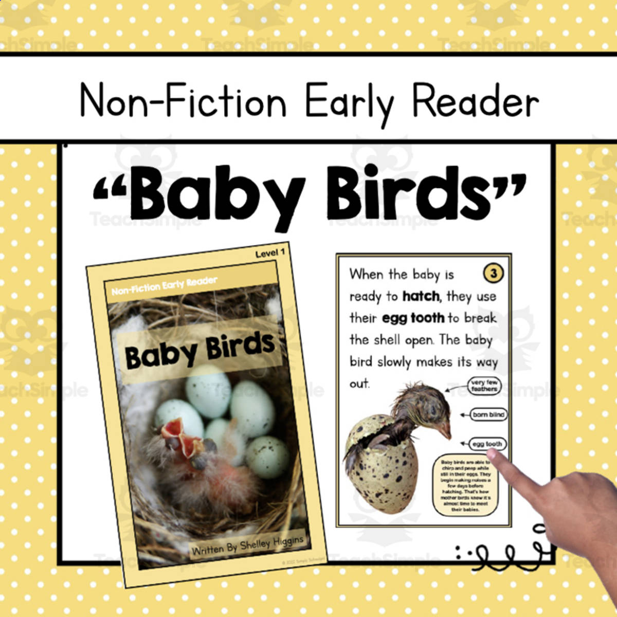 An educational teaching resource from Simply Schoolgirl entitled "Baby Birds" | Nonfiction Early Reader downloadable at Teach Simple.