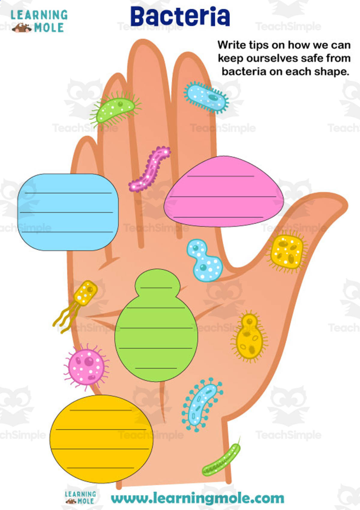 An educational teaching resource from Educational Voice entitled Bacteria Activity downloadable at Teach Simple.