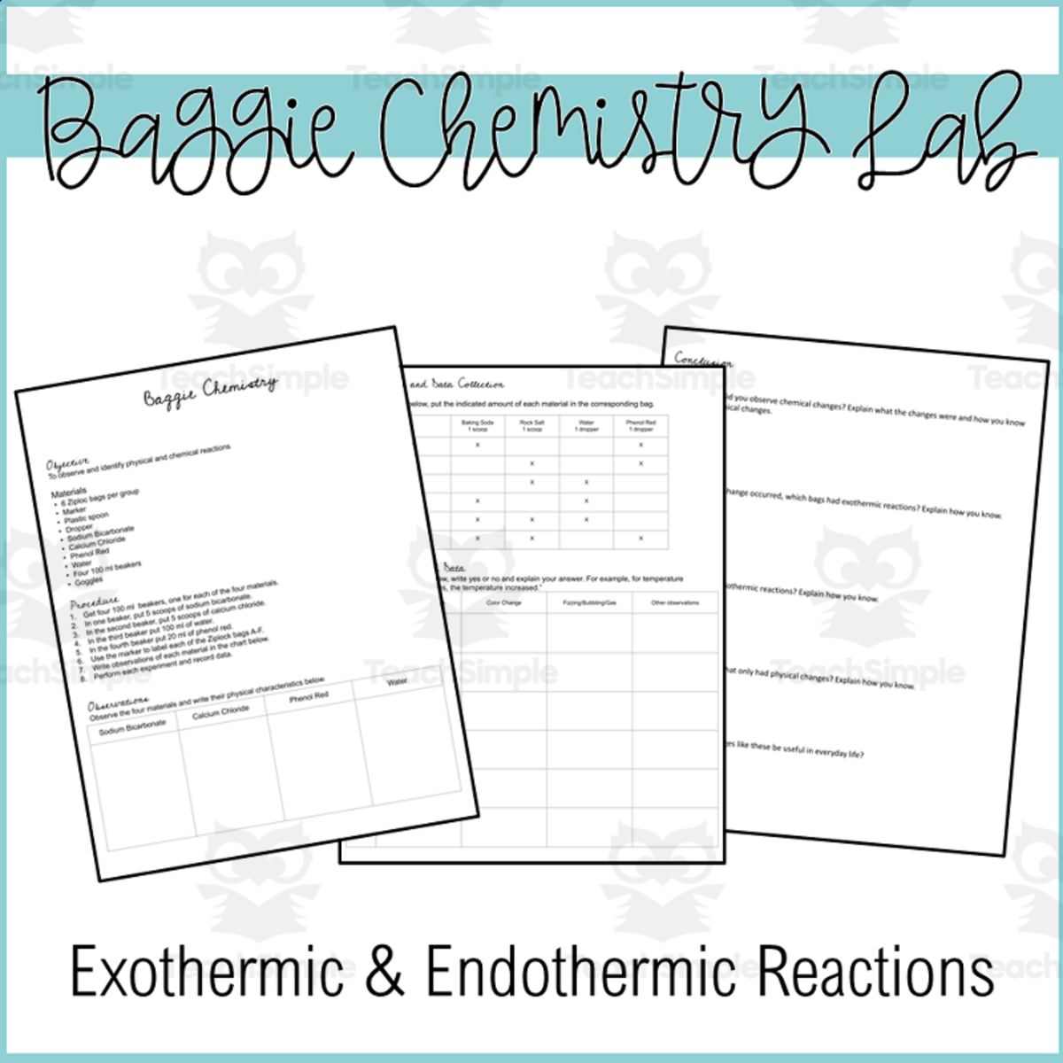 An educational teaching resource from Maude in the Middle entitled Baggie Chemistry Lab | Endothermic and Exothermic Reactions downloadable at Teach Simple.