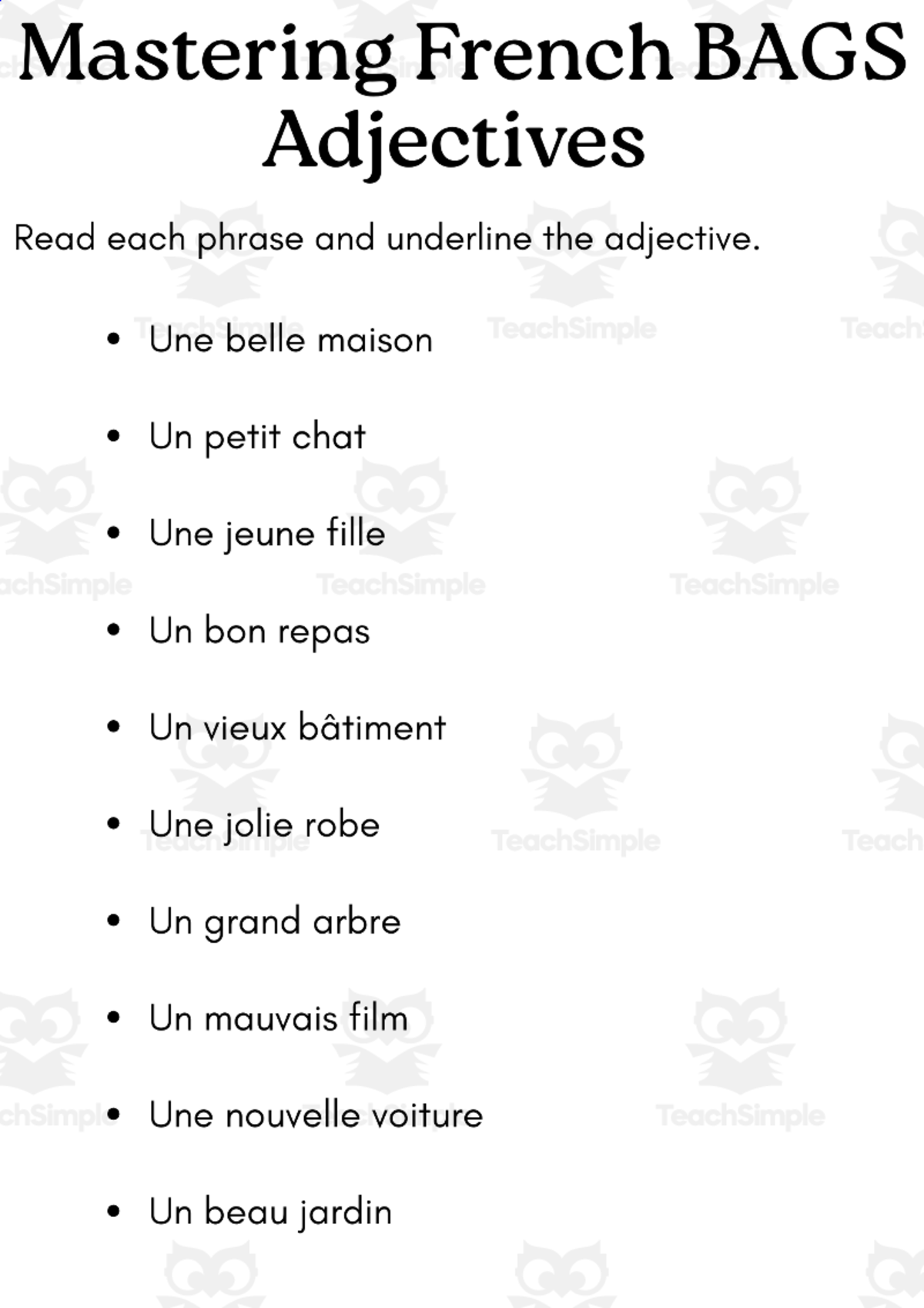 An educational teaching resource from MultiLingual Grammar Lab entitled bags adjectives french exercises worksheet with answers downloadable at Teach Simple.
