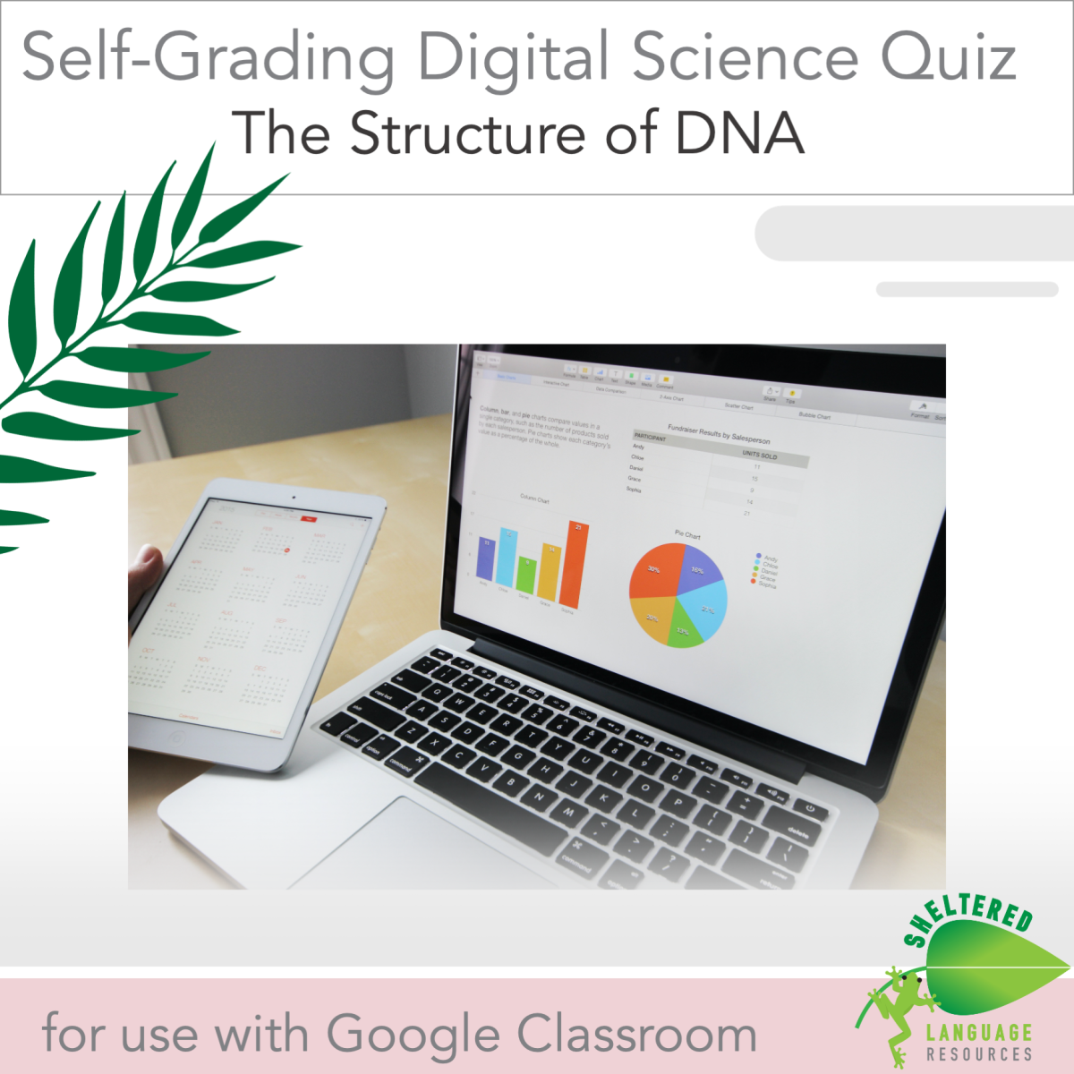 An educational teaching resource from Sheltered Language Resources entitled Basics of DNA - Digital Quiz downloadable at Teach Simple.