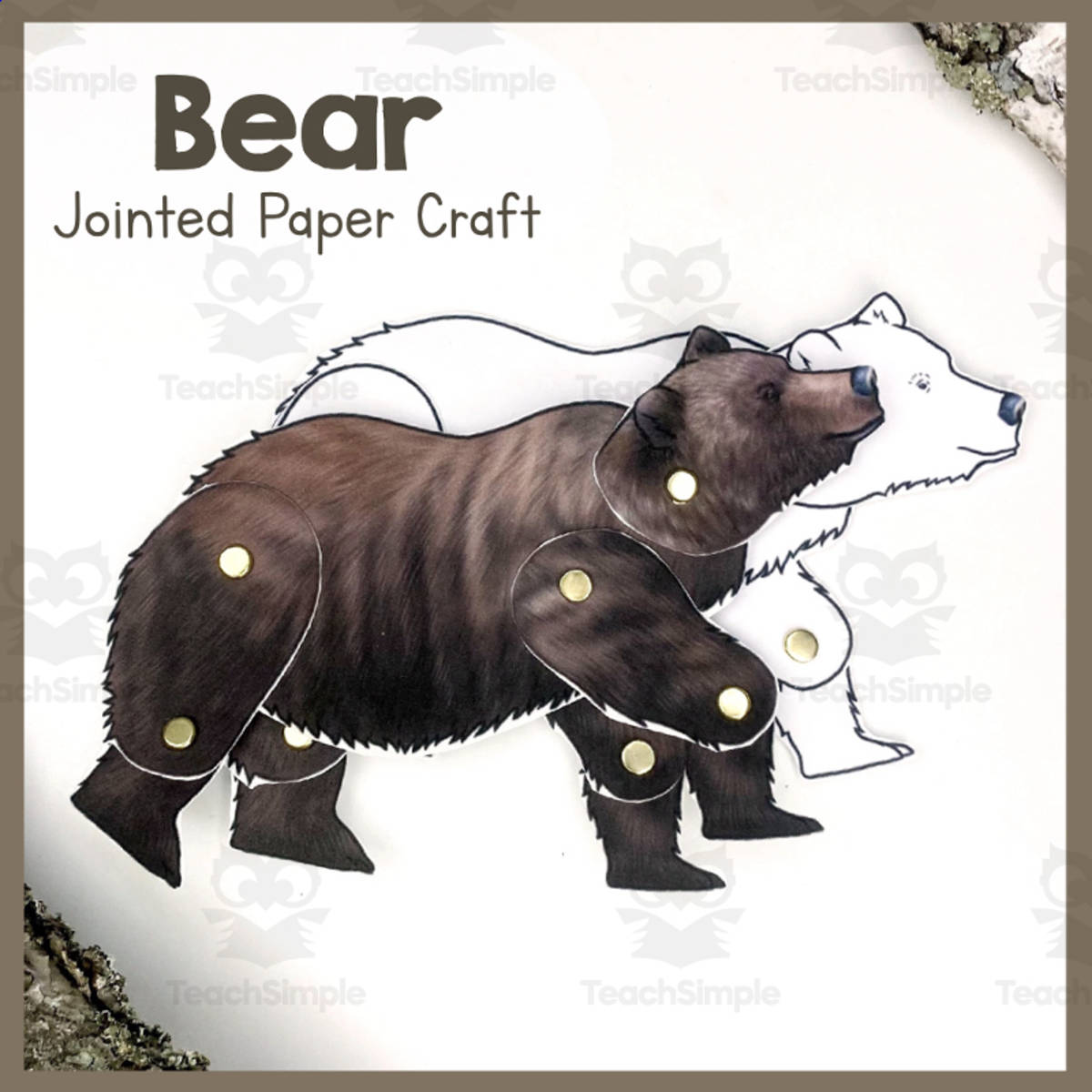 An educational teaching resource from Simply Schoolgirl entitled Bear | Jointed Paper Craft | Articulated Animal Art Project | Cub downloadable at Teach Simple.
