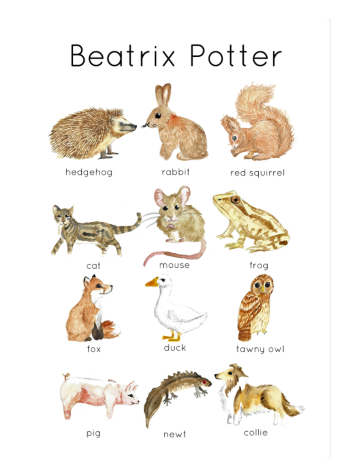 An educational teaching resource from Fiddleticks Education entitled Beatrix Potter Flashcards downloadable at Teach Simple.