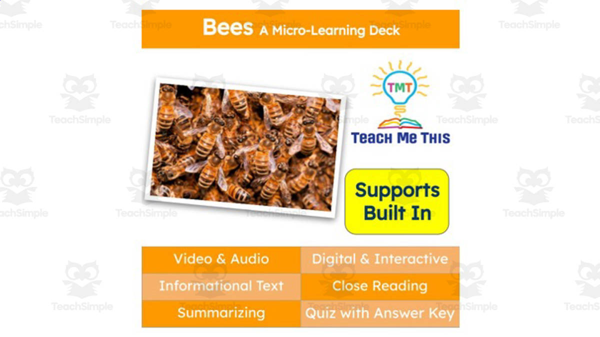 An educational teaching resource from Teach Me This entitled Bees | Interactive Science Lesson | Micro-Learning Deck downloadable at Teach Simple.