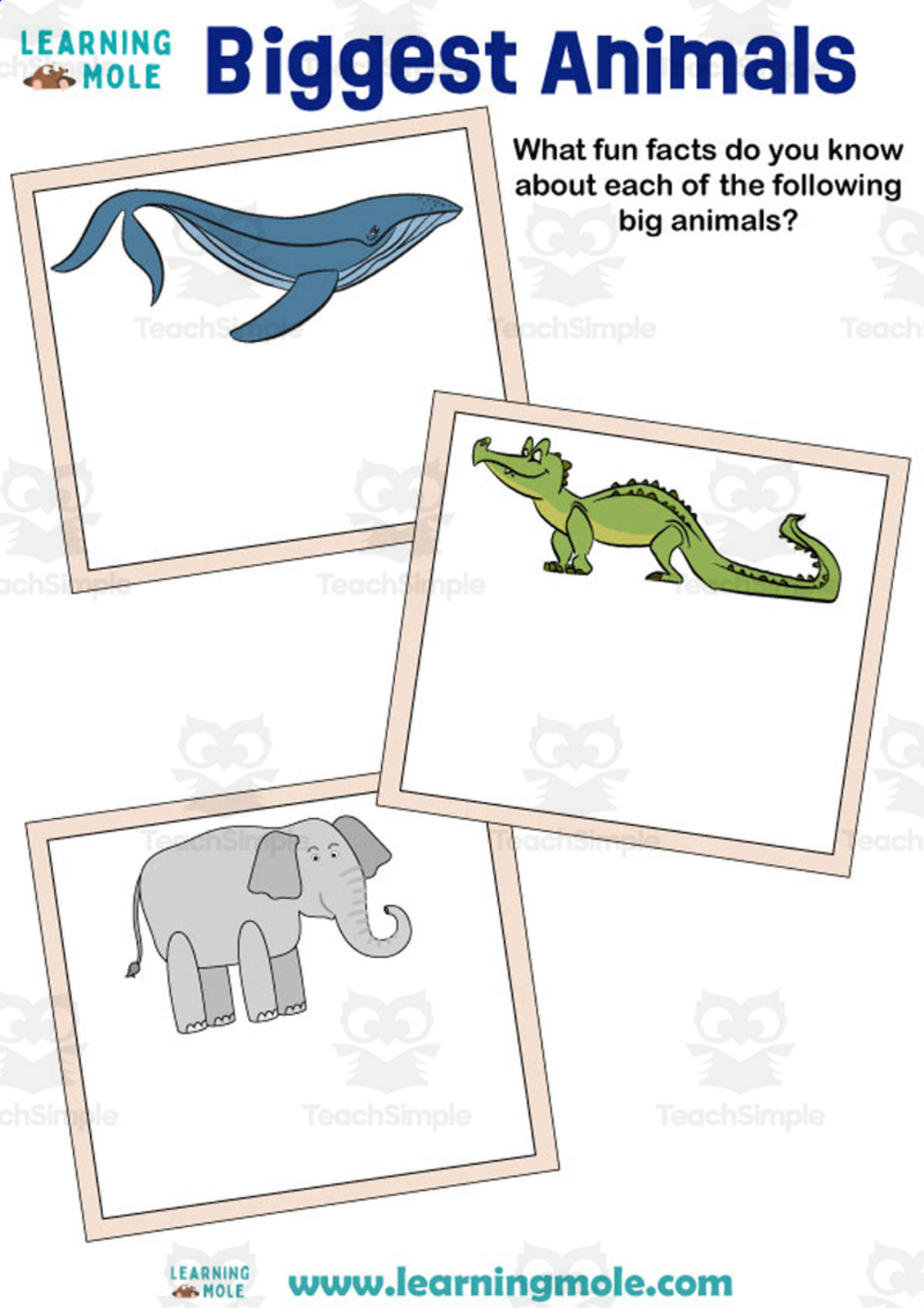 An educational teaching resource from Educational Voice entitled Biggest Animals Activity downloadable at Teach Simple.