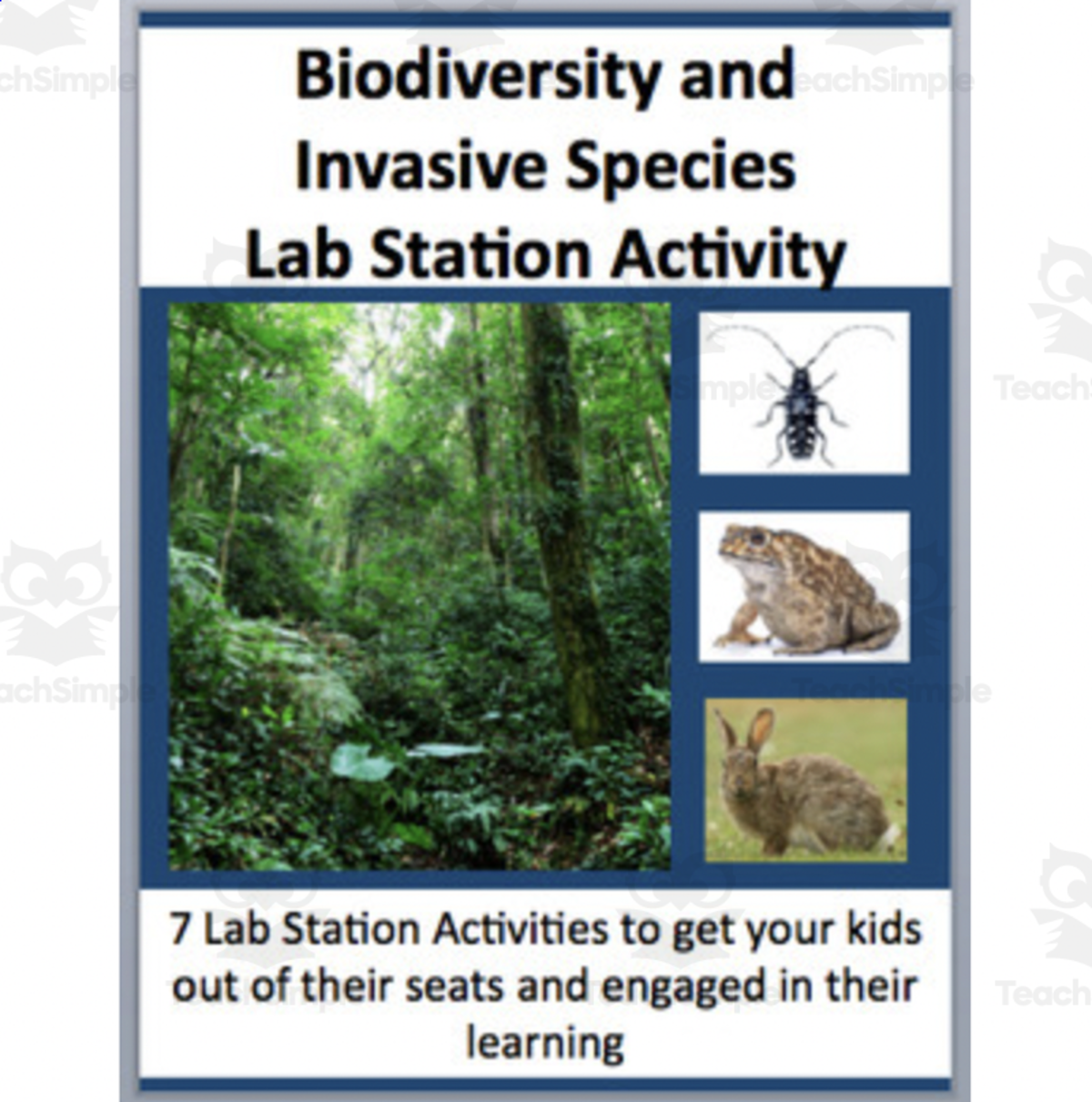 An educational teaching resource from Teach With Fergy entitled Biodiversity and Invasive Species – Lab Station Activity downloadable at Teach Simple.