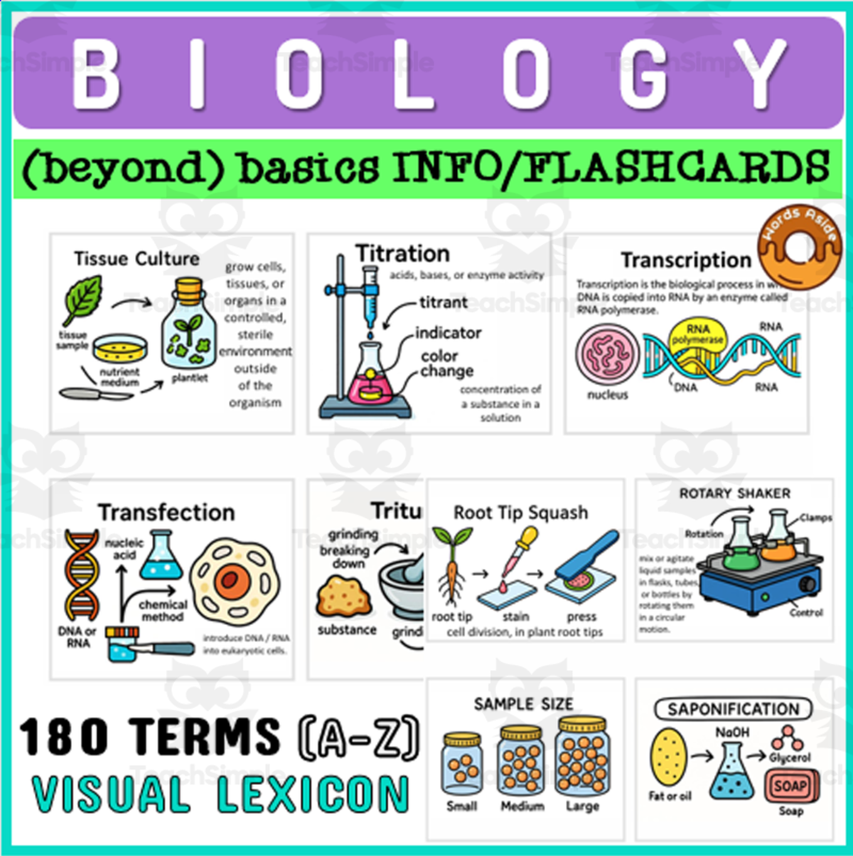An educational teaching resource from WORDS ASIDE entitled Biology Terms Info Flashcards Catalog downloadable at Teach Simple.