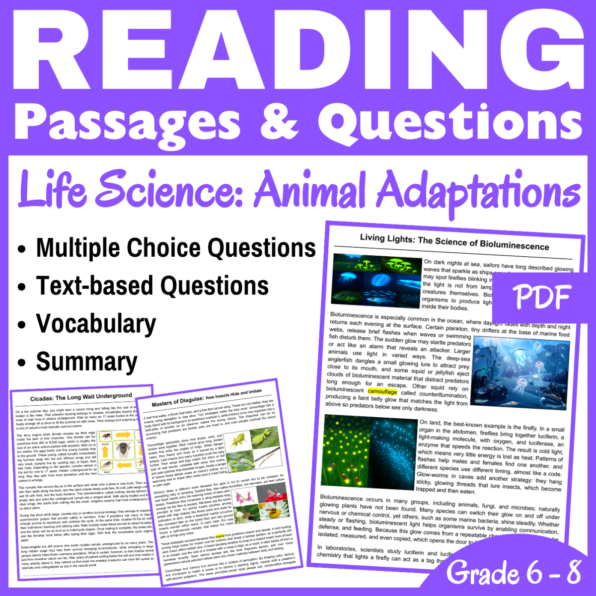 An educational teaching resource from CORED Education - Middle & High School entitled Bioluminescence & Insects : Reading Comprehension passages (PDF) downloadable at Teach Simple.
