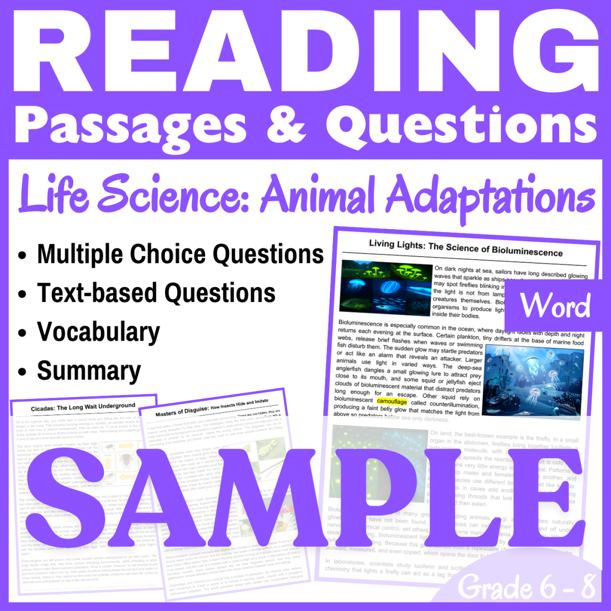 An educational teaching resource from CORED Education - Middle & High School entitled Bioluminescence & Insects: SAMPLE Reading Comprehension passage (Word) downloadable at Teach Simple.