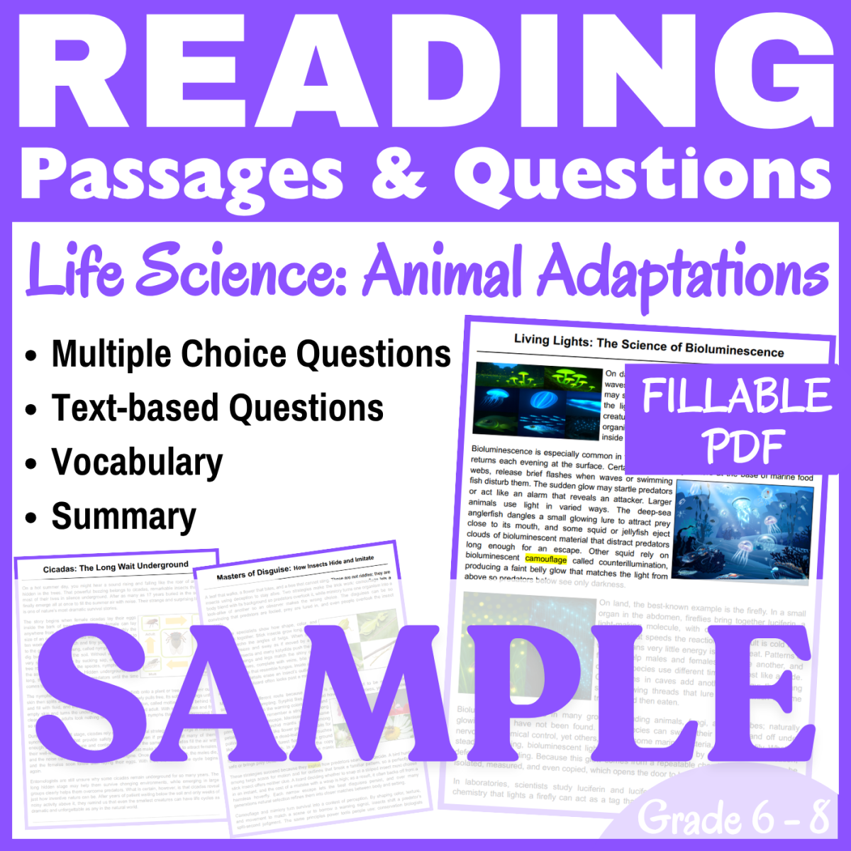 An educational teaching resource from CORED Education - Middle & High School entitled Bioluminescence and Insects : SAMPLE Reading passage (FILLABLE PDF) downloadable at Teach Simple.