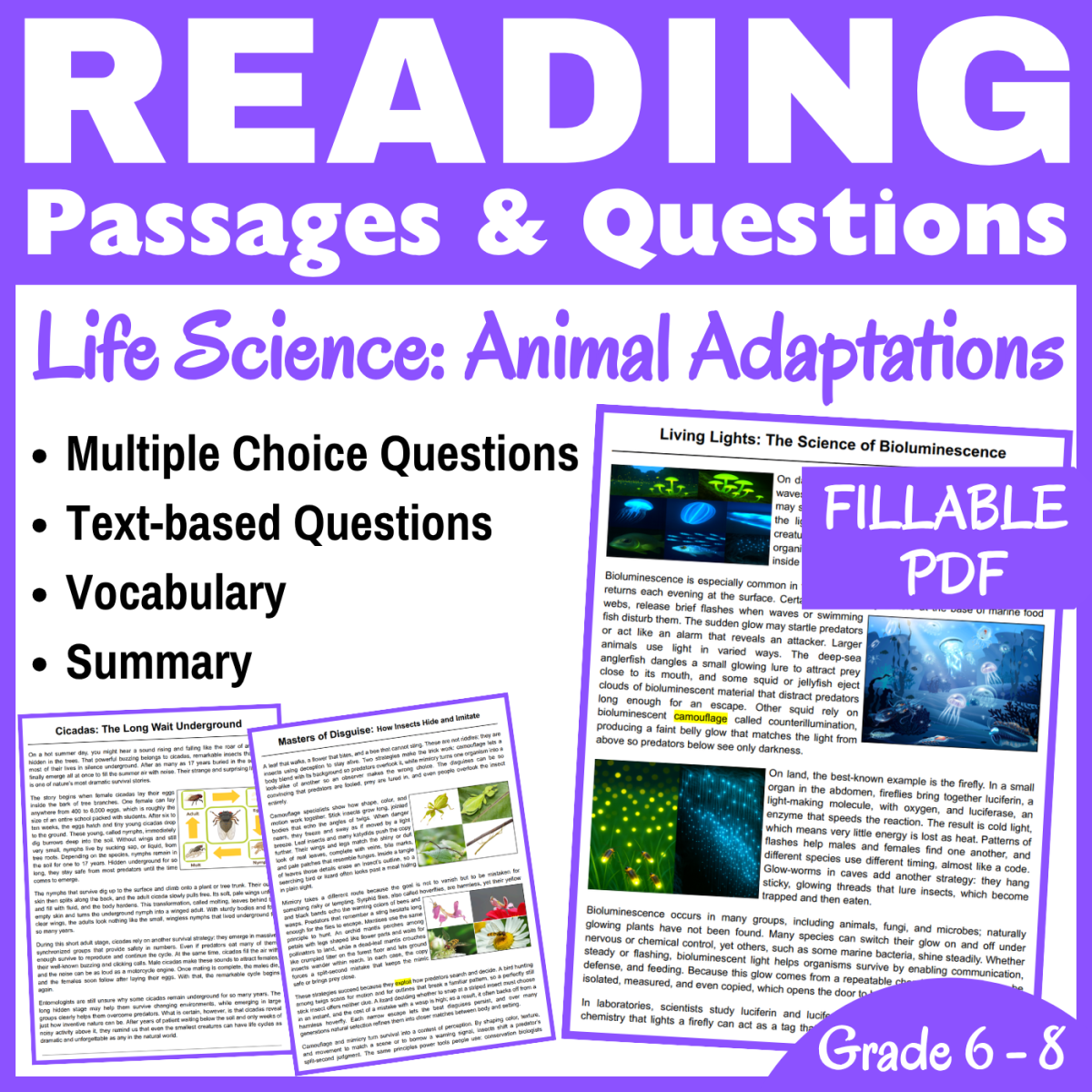 An educational teaching resource from CORED Education - Middle & High School entitled Bioluminescence and Insects : Science Reading passages (FILLABLE PDF) downloadable at Teach Simple.