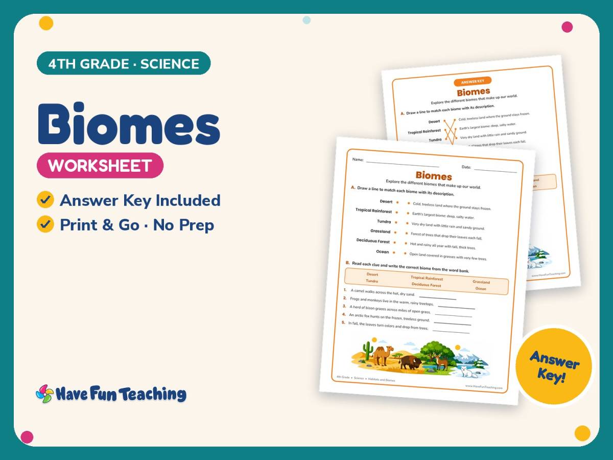 Biomes Worksheet – 4th Grade Environments & Research Practice preview