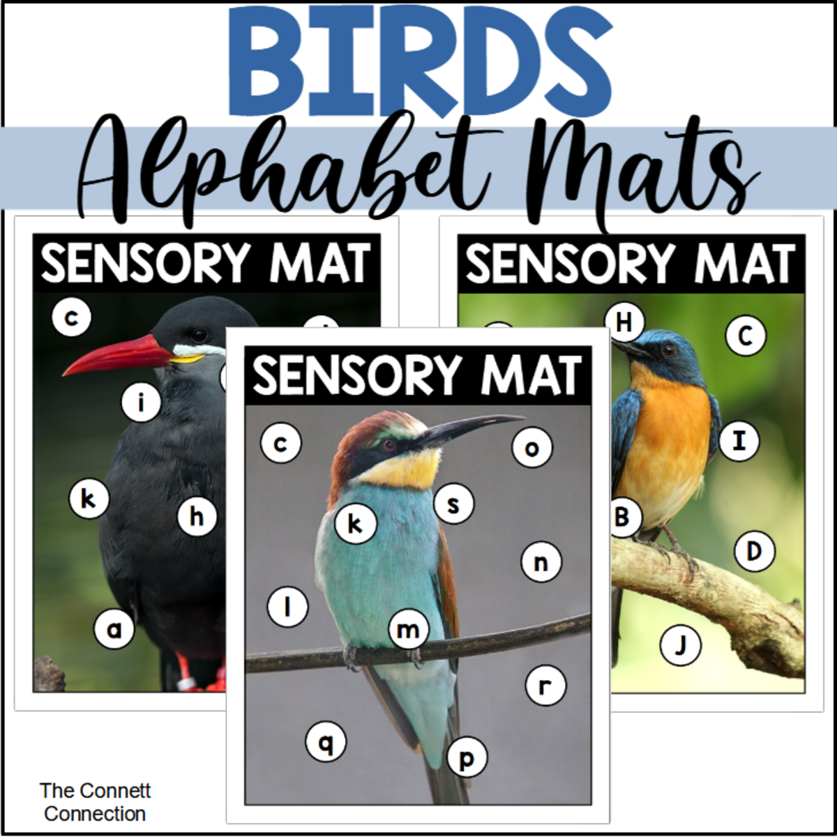 An educational teaching resource from The Connett Connection entitled Bird Alphabet Sensory Bin Mats downloadable at Teach Simple.