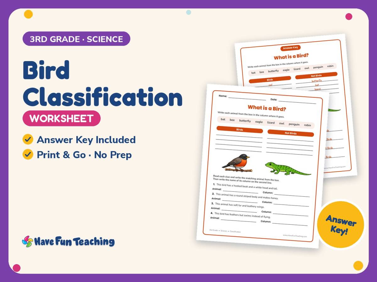 Bird Classification Worksheet – 3rd Grade Animals Practice preview