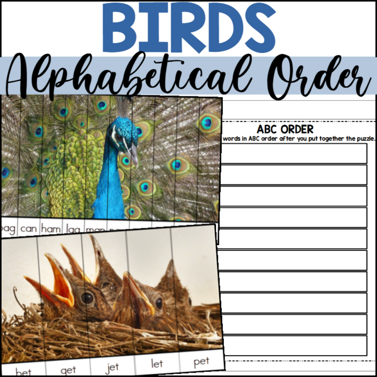 An educational teaching resource from The Connett Connection entitled Birds Alphabetical Order Puzzles downloadable at Teach Simple.