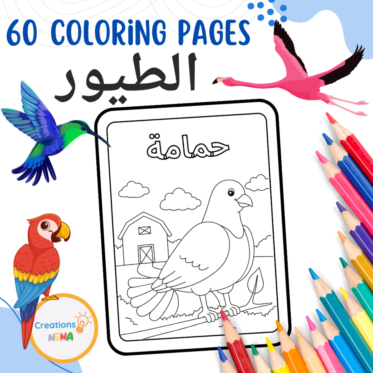 An educational teaching resource from Nena Creations entitled Birds Coloring Pages in Arabic downloadable at Teach Simple.