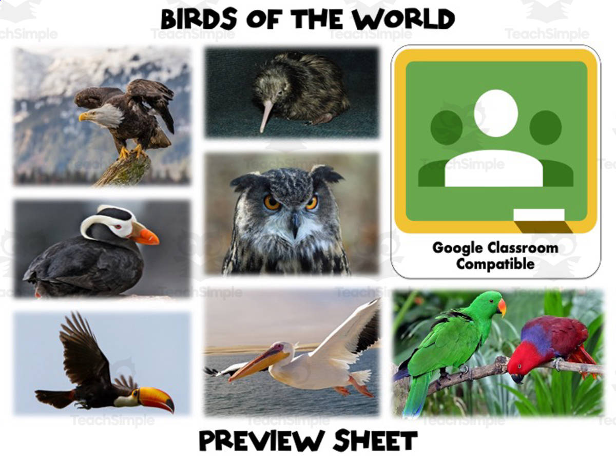 An educational teaching resource from Mr Gray History entitled Birds of the World : Complete Unit downloadable at Teach Simple.