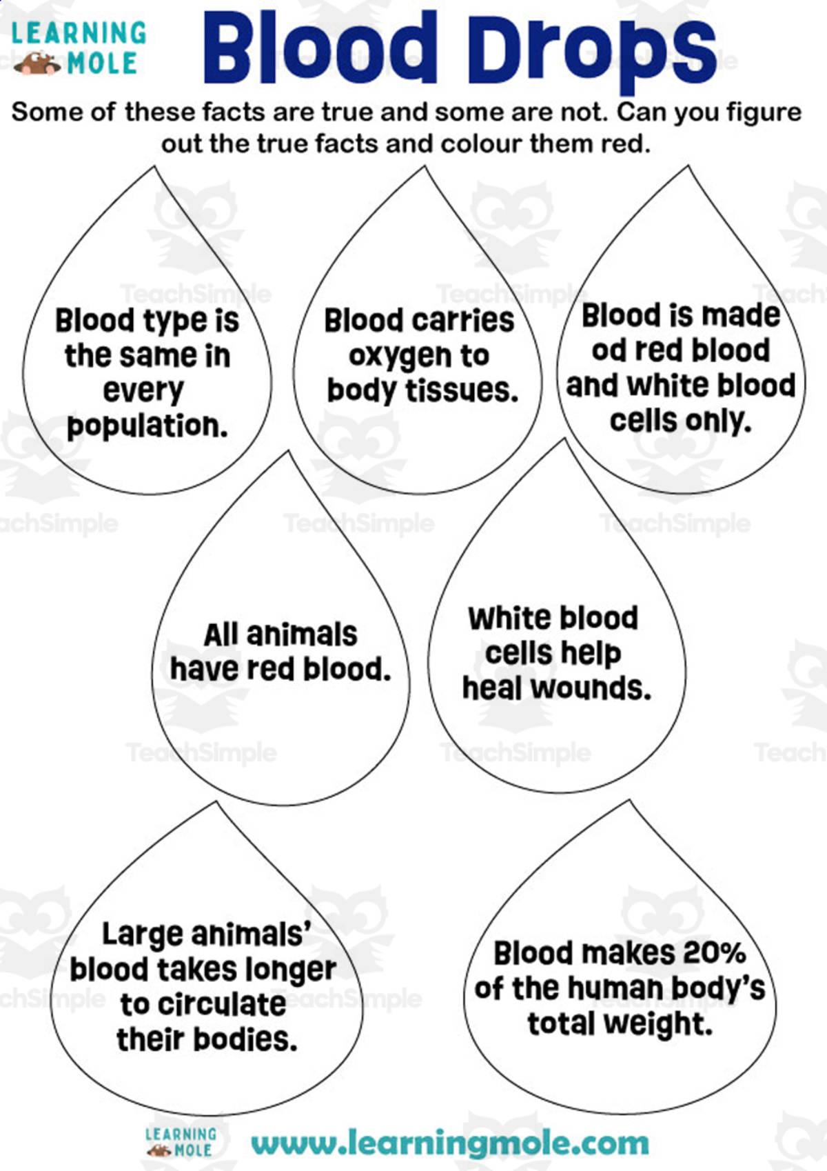An educational teaching resource from Educational Voice entitled Blood Drops Activity downloadable at Teach Simple.
