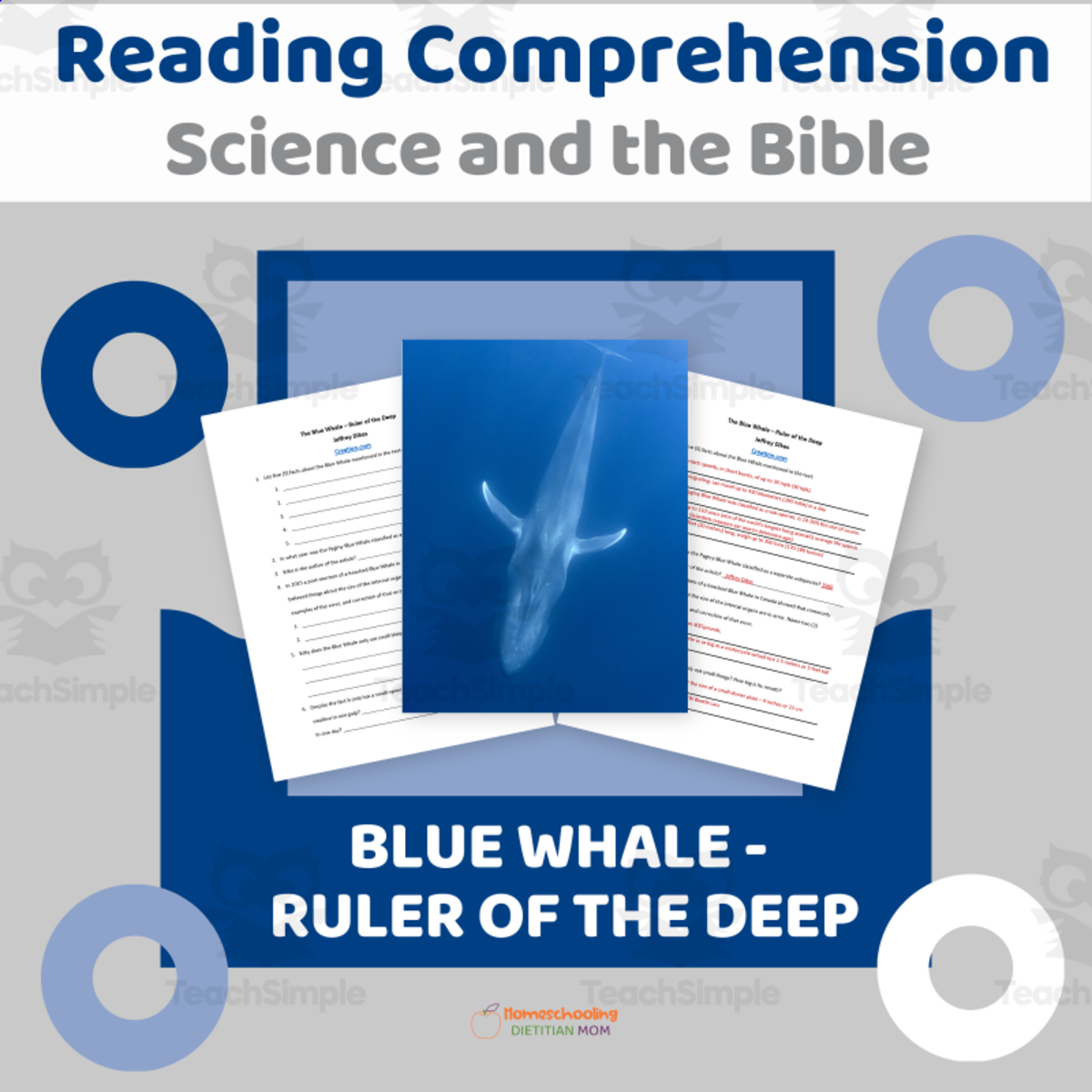 An educational teaching resource from Homeschooling Dietitian Mom entitled "Blue Whale - Ruler of the Deep" Reading Comprehension downloadable at Teach Simple.