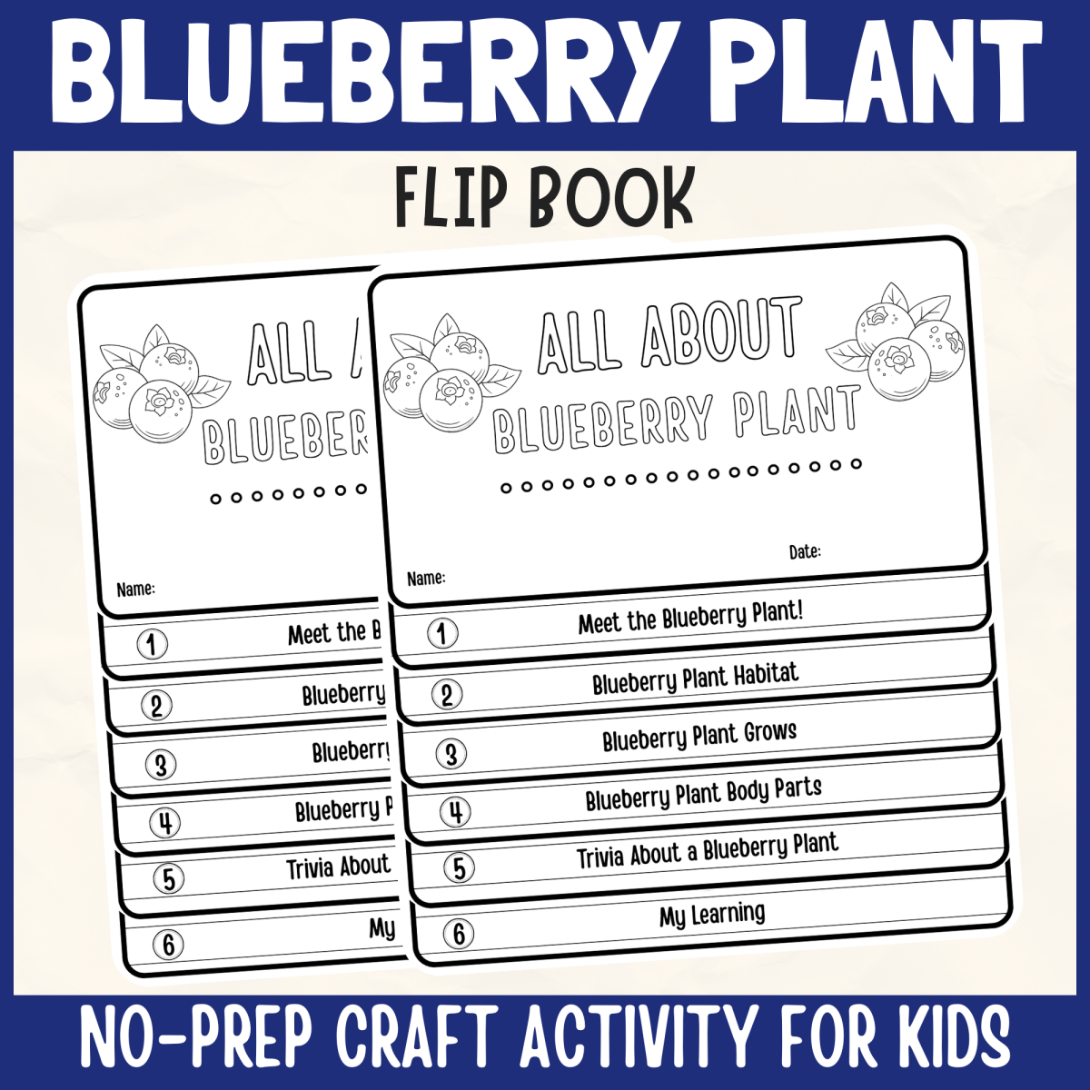 An educational teaching resource from Perfect_Printables entitled Blueberry Plant Flipbook Craft DIY Science Study Writing activity downloadable at Teach Simple.